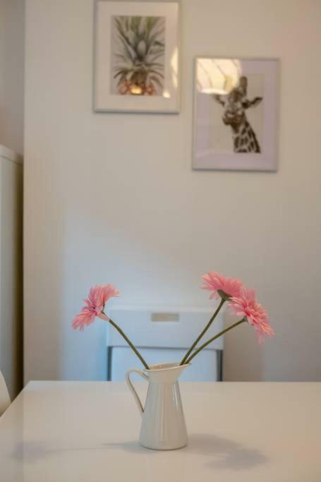 Galway City Cottage Экстерьер фото